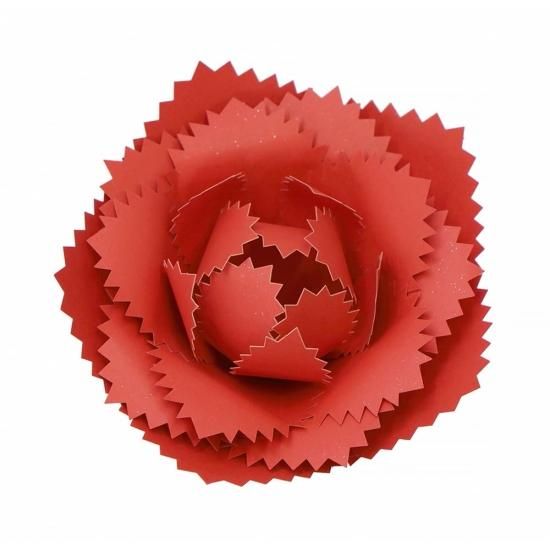 PFC ϥߤ餺Ž֥롼७åȡִ͡աסڤ縶ޤߴƽ