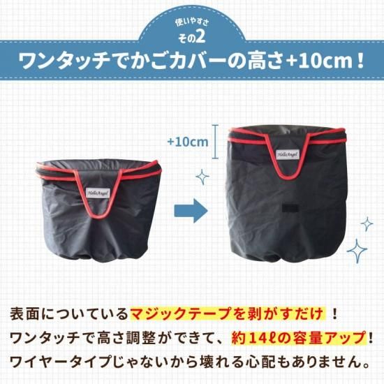 ϥ󥸥 ʼСڸѡۡե顼