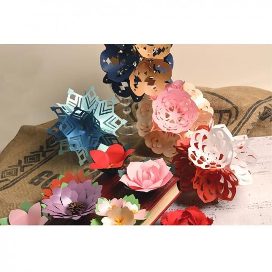 ϥߤ餺Ž͵Ƥޤꥭåȡ֥Ρե졼