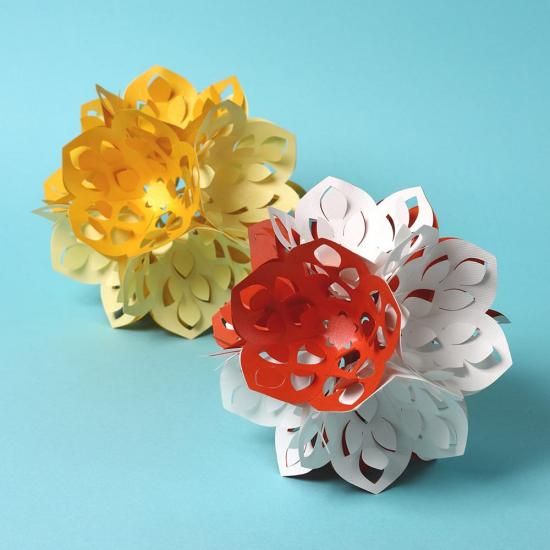 ϥߤ餺Ž͵Ƥޤꥭåȡֽաޤ