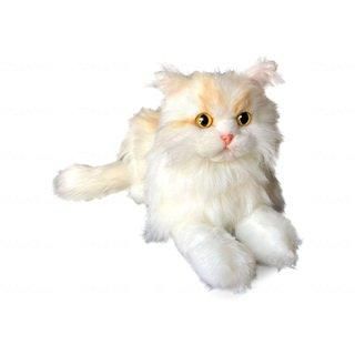 ʤǤʤǤͤEX쥬󥹤ξʲǤ