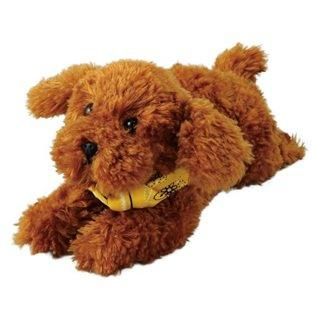 !ä!ؤ󤸥˥ޥ ȥסɥξʲǤ