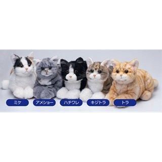 ʤǤʤǤͤEXϥξʲǤ