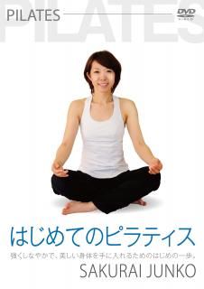 ϤƤΥԥƥ(ȡFV-011ξʲǤ