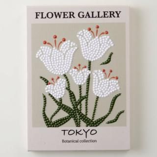 ɥեå ܥ˥ ȥ祦 ӡåȡT10-4258