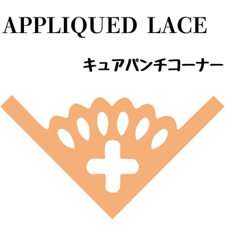 奢ѥʡAPPLIQUED LACEۤξʲǤ