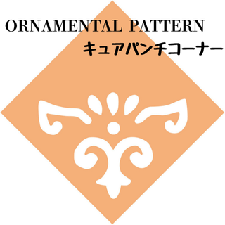 奢ѥʡORNAMENTAL PATTENRNۤξʲǤ