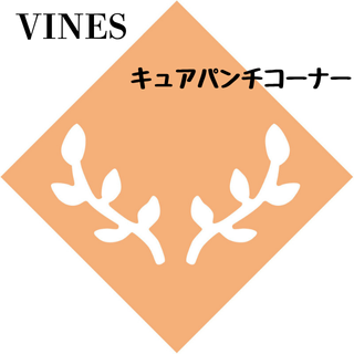 奢ѥʡVINESۤξʲǤ