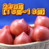 ルネッサンストマト2.0キロ箱