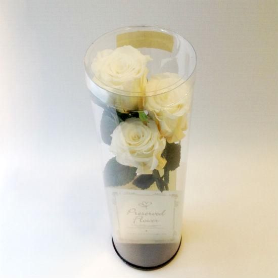 プリプットブーケ®【プリザーブドフラワー】3本愛してる。枯れない花