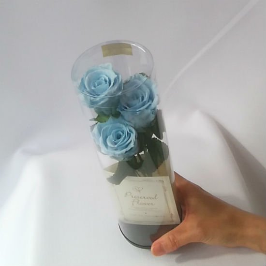 プリザーブドフラワー 3本愛してる 枯れない花 水色青いばらパステルブルー 夢叶う 置ける花束 誕生日記念日 バレンタイン プロポーズに最適 Flowersalon Osamu