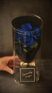 <img class='new_mark_img1' src='https://img.shop-pro.jp/img/new/icons1.gif' style='border:none;display:inline;margin:0px;padding:0px;width:auto;' />ץץåȥ֡®ץݡĤХ5  в񤨤ɤäۡڿLong«ץꥶǰۥ磻ȥǡꥹޥϤʤ֡ü쥯ꥢǲ«ۡ