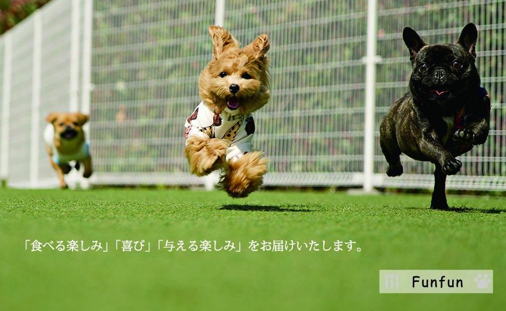 犬のおやつ専門店 Funfun（ファンファン）～素材を生かした無添加の犬