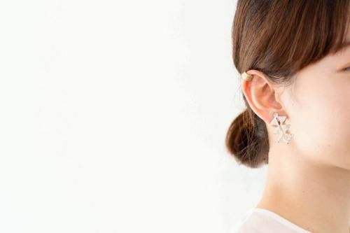  - Earrings25w