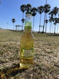 BUD LIGHT Lime バドライト・ライム味 – のんびりハワイ暮らし