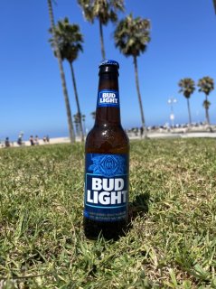 <img class='new_mark_img1' src='https://img.shop-pro.jp/img/new/icons29.gif' style='border:none;display:inline;margin:0px;padding:0px;width:auto;' />BUD LIGHT  (バドライト) 24本 純正ケース入り