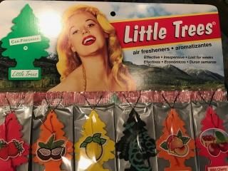 LITTLETREES 48pc Displayset