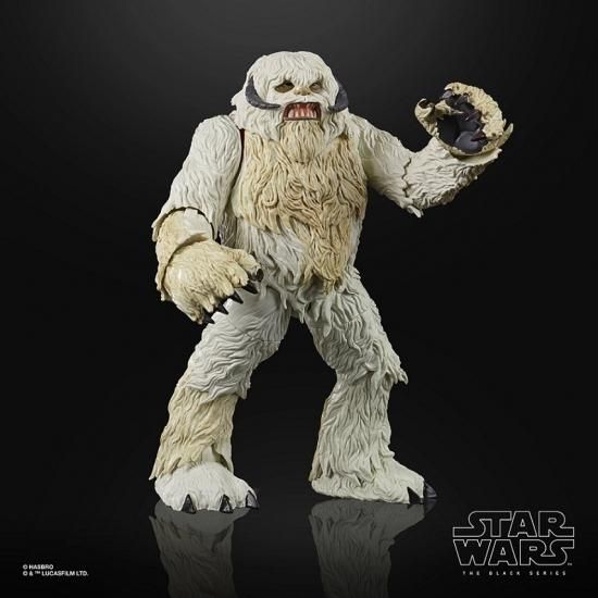 スター・ウォーズ ブラック・シリーズ 6