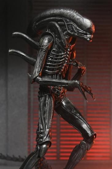 ★激レア希少moebius x primitive7本セットメビウスプリミティブ エイリアン ロムルス アルティメット ゼノモーフ XX121 - RED