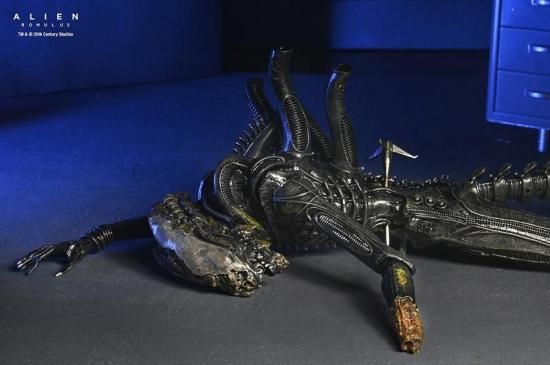 エイリアン ロムルス ゼノモーフXX121 サスペンデッド・ラボ