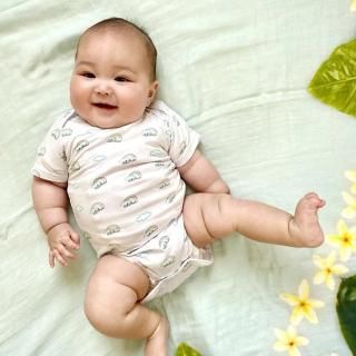 【アロハ訳あり】兜小物セット 宗琳 金小札赤白縅大鍬兜 5号 平飾りセット – スガ人形店
