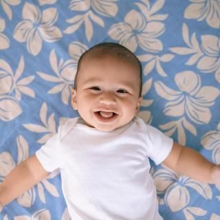 Plumeria Dreams (å)<img class='new_mark_img2' src='https://img.shop-pro.jp/img/new/icons14.gif' style='border:none;display:inline;margin:0px;padding:0px;width:auto;' />