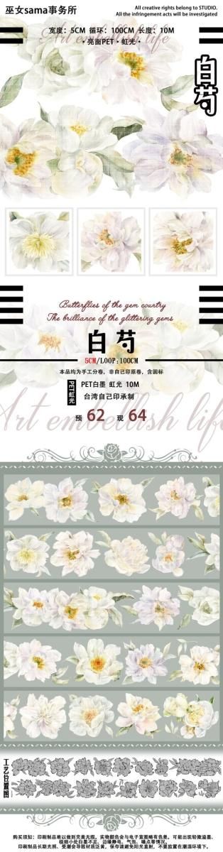 虹光 5cm×10m 白芍 海外マスキングテープ