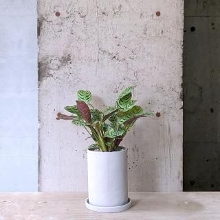 プランター 鉢入れ ミニトラックプランター オレンジ （ 植木鉢