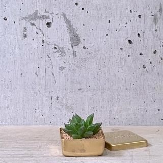 BRASS BOX ϥåɥ֥