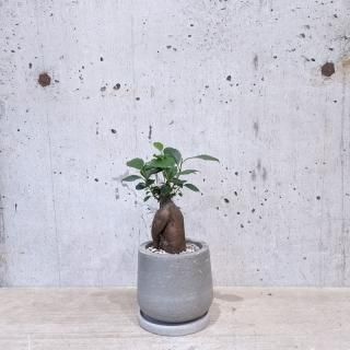ޥ롡urb pot-TYPE01-S