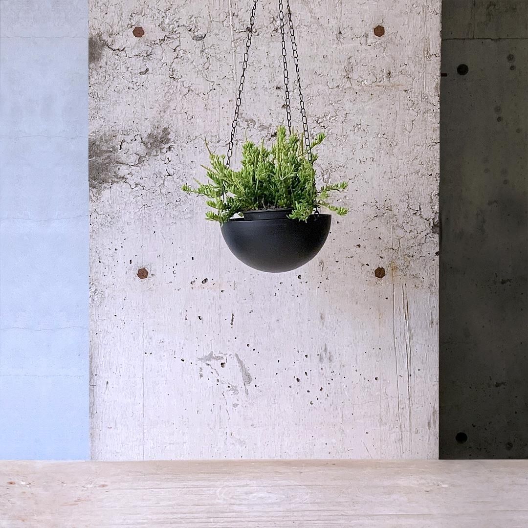 【専用】リプサリス✳︎さま Amazon｜リプサリス 9種類から選べる サボテン 多肉植物 3号