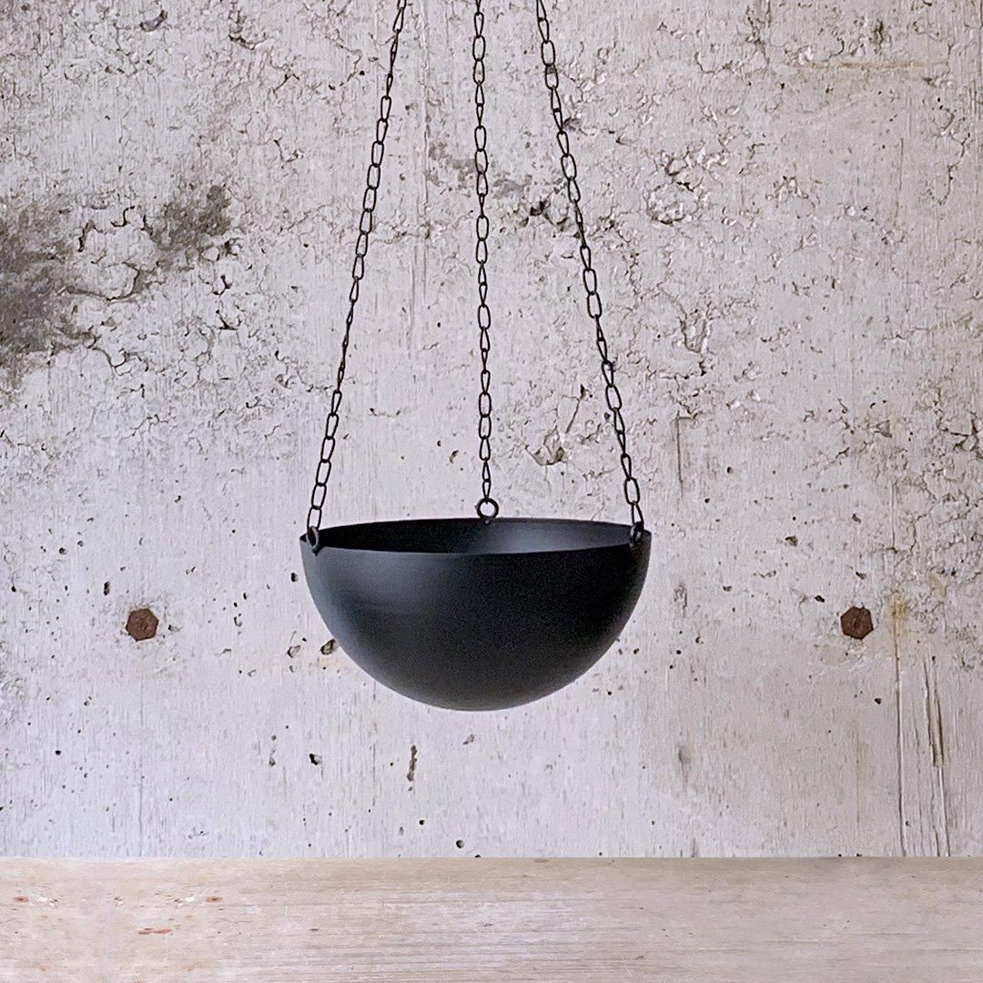 【専用】リプサリス✳︎さま Amazon｜リプサリス 9種類から選べる サボテン 多肉植物 3号