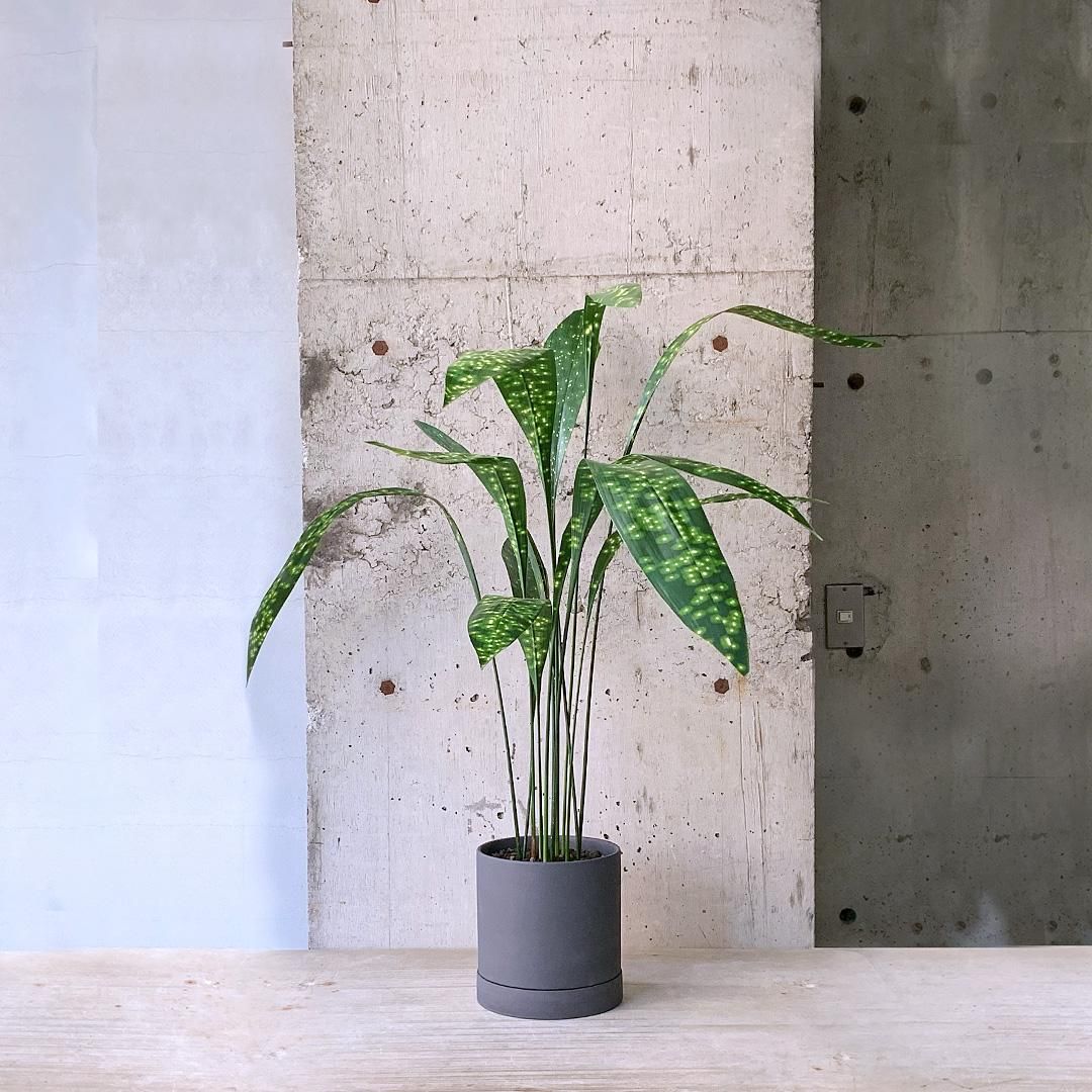 ハラン 夢ホタル