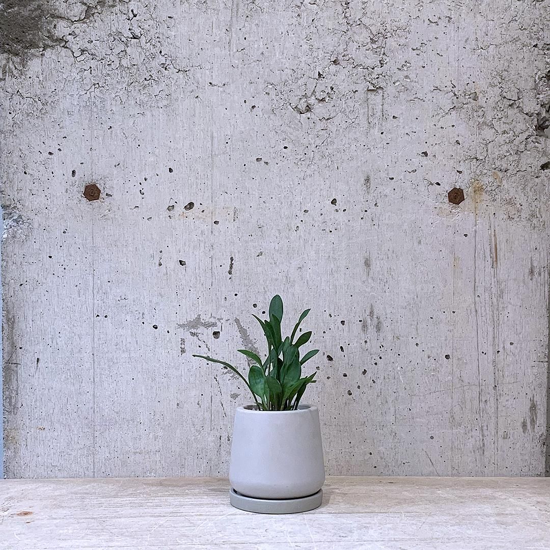 blueLeaves 植物デザイン　スプーン　マットシルバー　5本セット サクライ J-Tone 布着せカトラリー 紗綾 漆黒／抹茶 鶴田一郎