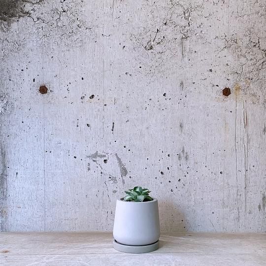 ١urb pot