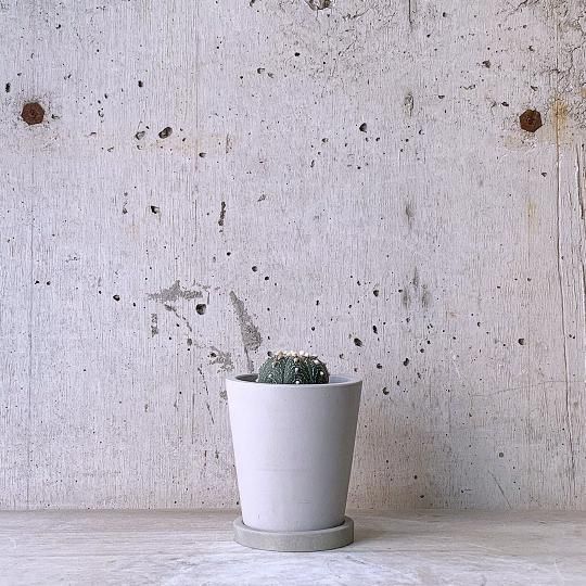 ȥեĥࡡݡurb pot
