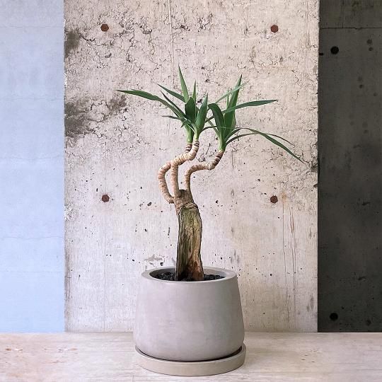 åѻΩơurb pot