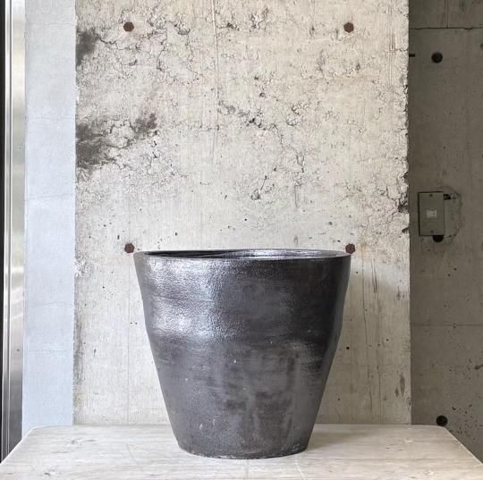 チランジア セントレア スカイリーフ ① HA - TRANSHIP