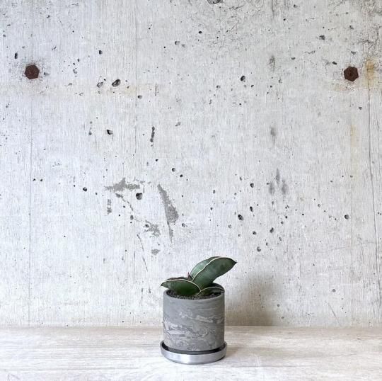 󥹥٥ꥢ٥륮ХʥʡSOIL POT GY/BL