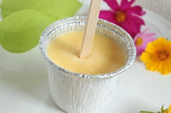 バニラ ずっこけプリンアイス 【クレームブリュレ】 - モンブラン