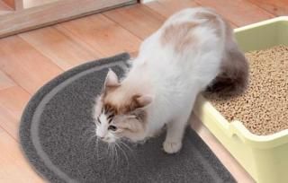 猫用室内用品（マット・ケージ）の通販 / ペット用品