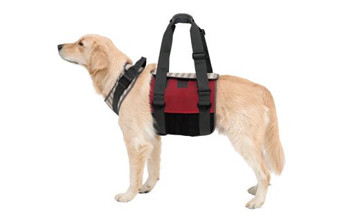 歩行補助ハーネス LaLaWalk 大型犬用メッシュボーダーの通販はペット用品.com