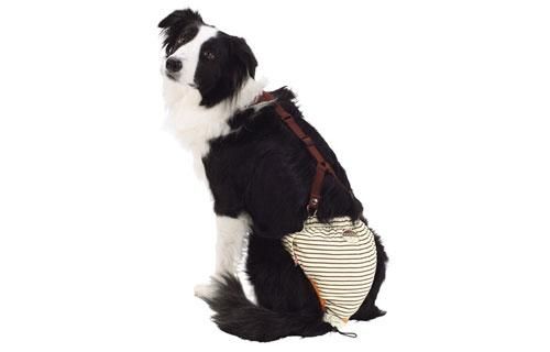 Zuttone ずっとね 老犬介護用 おむつパンツk Lの通販はペット用品 Com Zuttone ずっとね 老犬介護用 おむつパンツk Lの通販はペット用品 Com