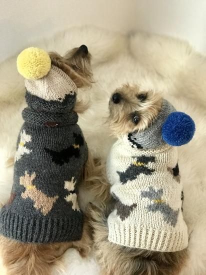 カウチンセーター 犬柄 SSサイズ オリエンタルブルー - 手編み カウチンセーター 犬柄 SSサイズ オリエンタルブルー - 手編み
