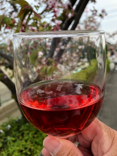 MW ロサド ロゼ　　赤ワインの醗酵中に皮と種を除去して完成したロゼ色ワイン！【画像2】