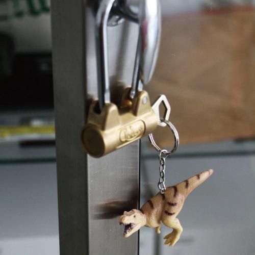 2231.[DETAIL] Animal keyring(Tyrannosaurus)