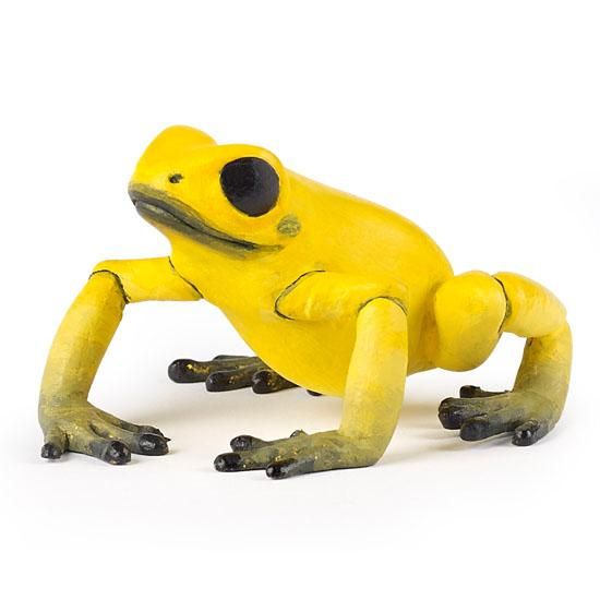 ヤドクガエル 黄 ジョブインターナショナルオンラインショッピング ヤドクガエル 黄 ジョブインターナショナルオンラインショッピング