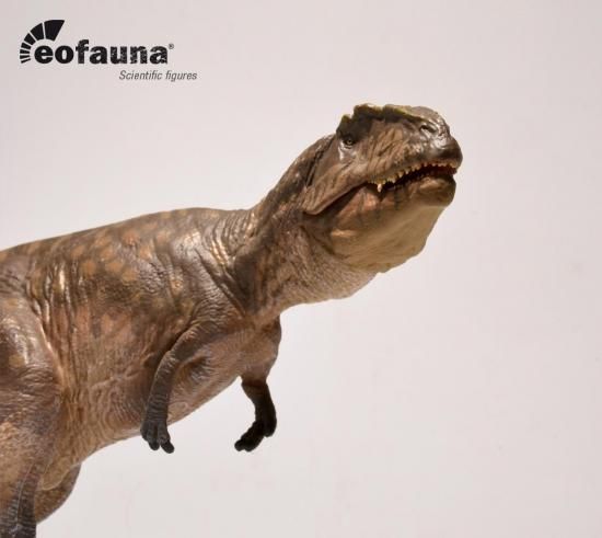 ギガノトサウルス（1：35）(Eofauna) - ジョブ