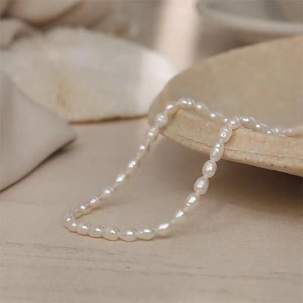 ڹ񥢥꡼奨꡼Υͥå쥹硼