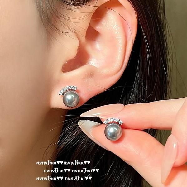 ڹ񥢥꡼奨꡼Υͥå쥹硼